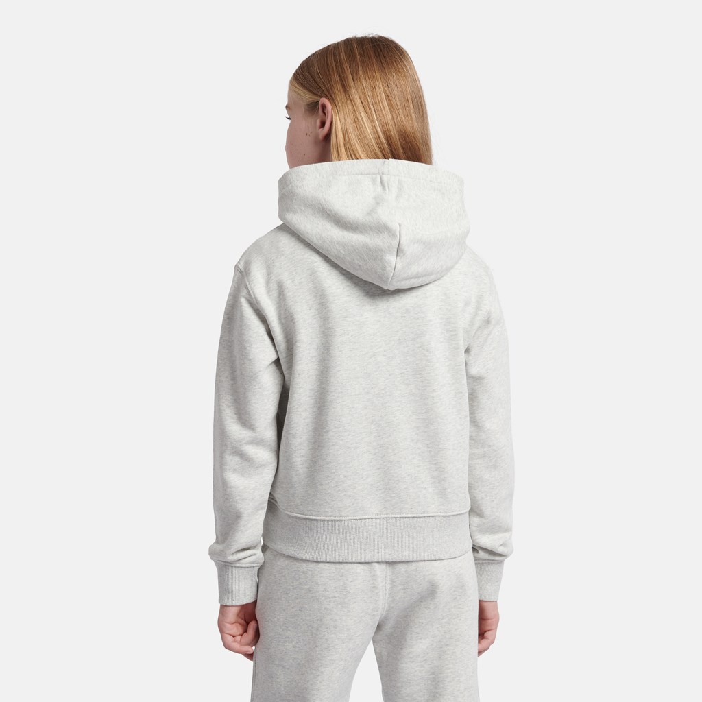 New Balance G NEW BALANCE FT STACKED LOGO HOODIE in GRAU