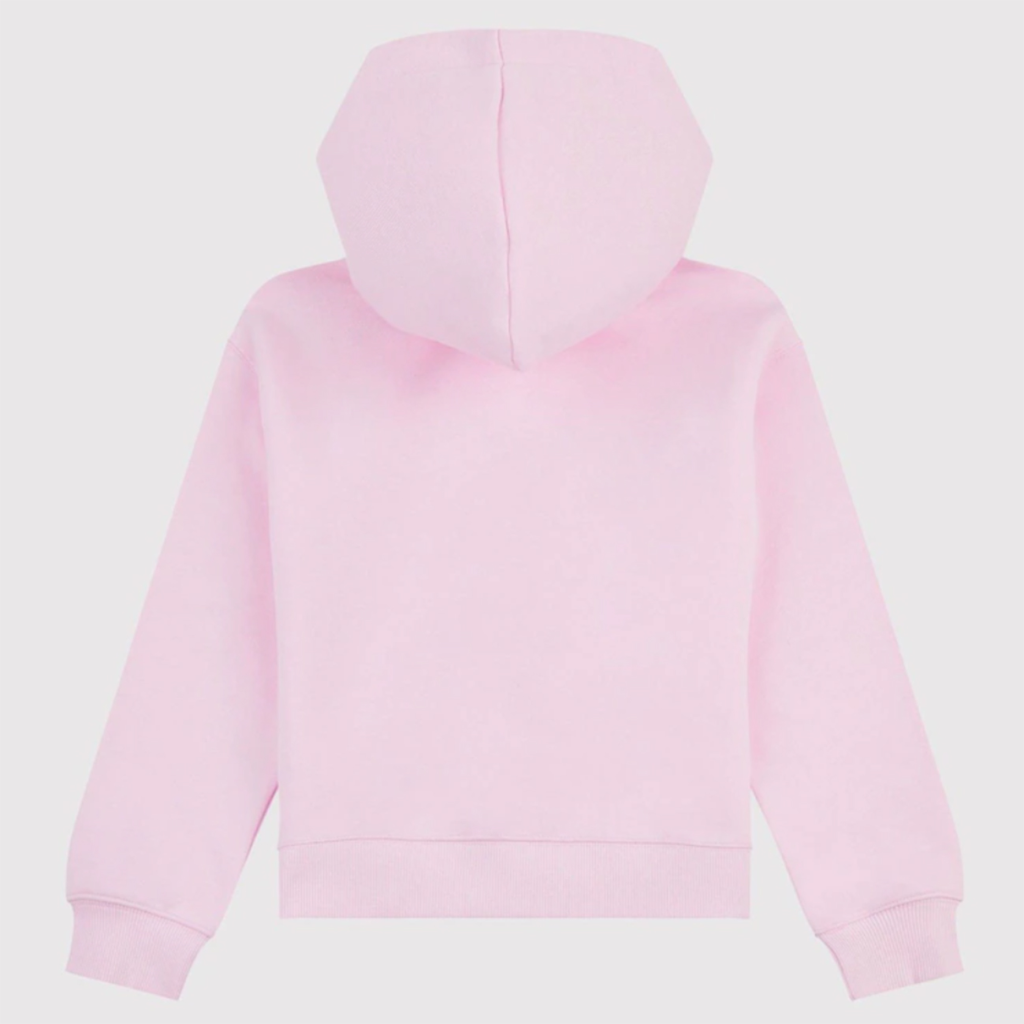 New Balance G NEW BALANCE FT STACKED LOGO HOODIE in PINK